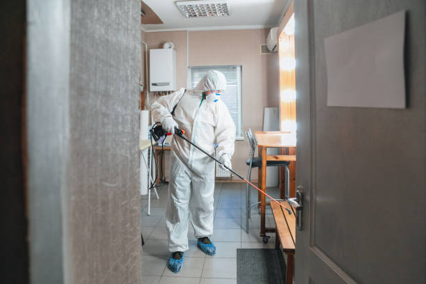 Best Forensic Mold Investigation  in Schenectady, NY