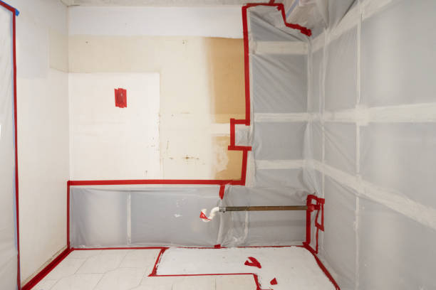 Best Post-Construction Mold Inspection  in Schenectady, NY