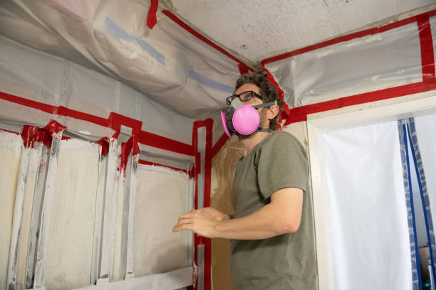 Professional Mold Removal in Schenectady, NY