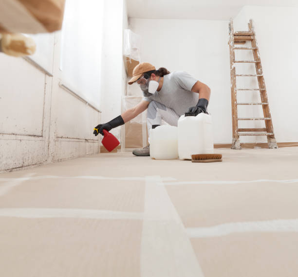 Best Industrial Mold Remediation  in Schenectady, NY
